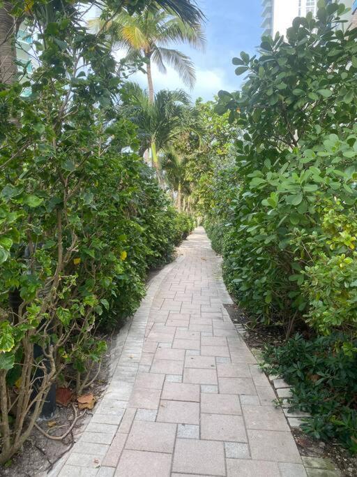 Beachwalk 1B-1B Apmt Amazing View 12A 哈兰代尔海滩 外观 照片